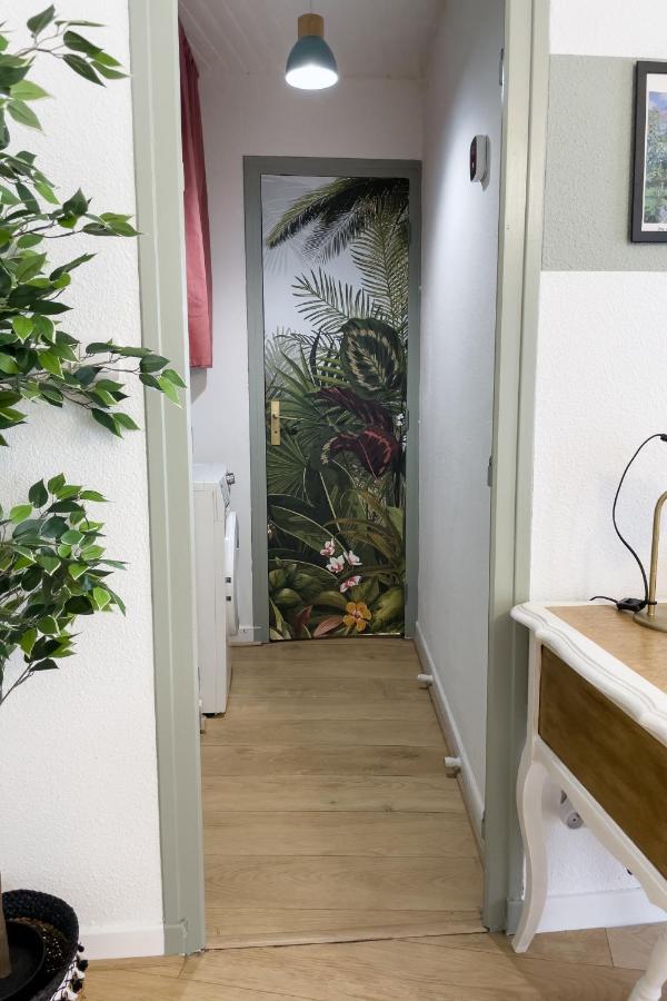 Appartement Lumineux 1 Chambre Hypercentre Place St Jean Valence  Eksteriør bilde